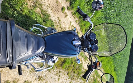 Gebrauchtmotorrad Honda CX 500 C - Bild 7