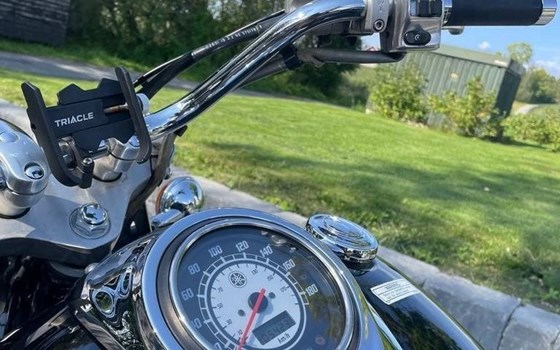 Gebrauchtmotorrad Yamaha XVS 1100 Drag Star - Bild 3 Gebrauchtmotorrad Yamaha XVS 1100 Drag Star - Bild 3