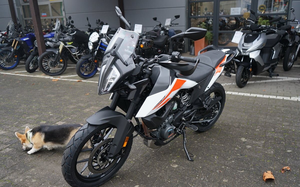 Angebot KTM 390 Adventure