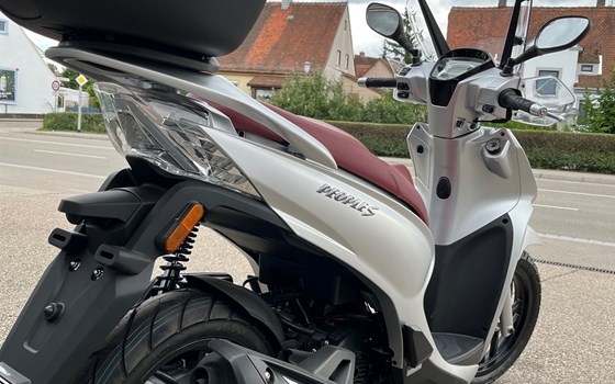 Neufahrzeug Kymco New People S 50i - Bild 7