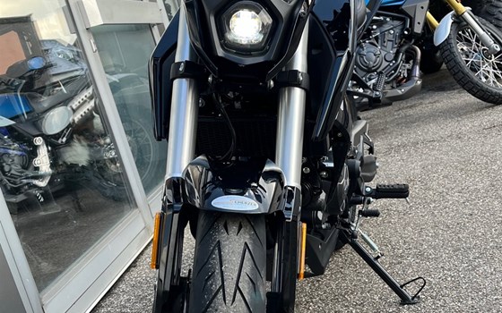 Neufahrzeug Voge R125 - Bild 12