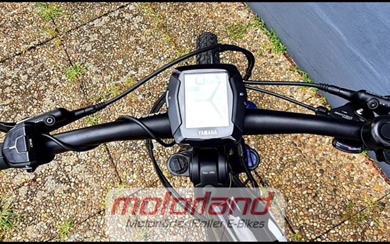 Neufahrzeug GASGAS EC 300 E - Bild 3