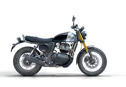Neumotorrad Royal Enfield Bear 650 Neumotorrad Royal Enfield Bear 650