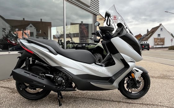 Neufahrzeug Zontes 350 E - Bild 15