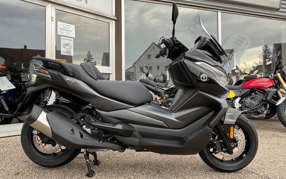 Neufahrzeug Voge SR4 350i ABS - Bild 3