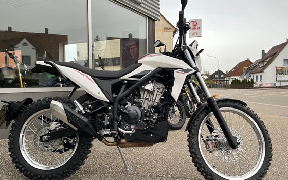 Neufahrzeug Beta Alp 4.0 - Bild 3