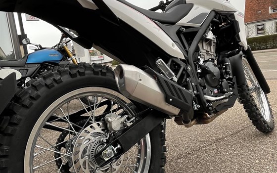 Neufahrzeug Beta Alp 4.0 - Bild 6