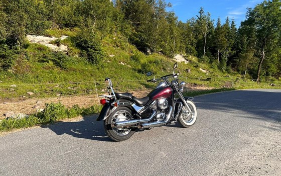 Gebrauchtmotorrad Kawasaki VN 800 Classic - Bild 3 Gebrauchtmotorrad Kawasaki VN 800 Classic - Bild 3