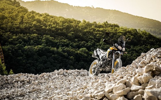 Neufahrzeug Voge 300 Rally - Bild 9