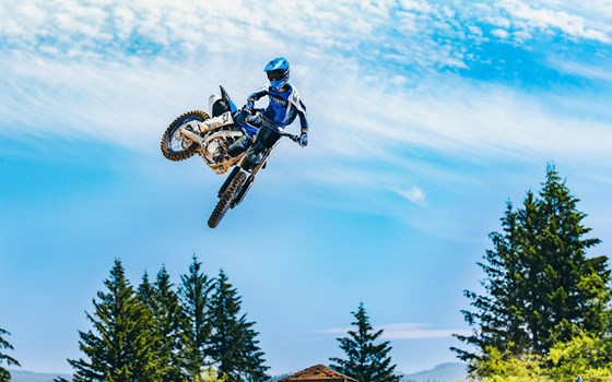 Neufahrzeug Yamaha YZ450F Monster Energy Edition - Bild 6