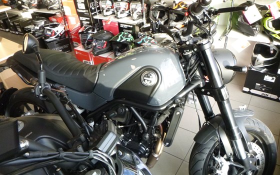 Neufahrzeug Benelli Leoncino 500 - Bild 1