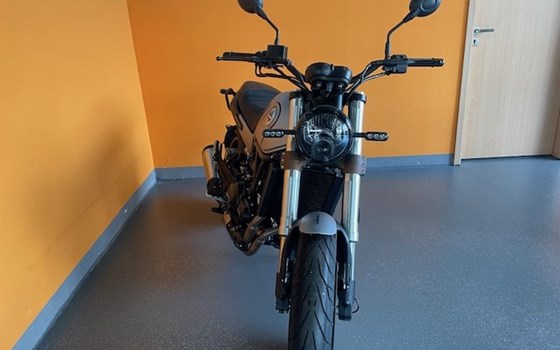 Gebrauchtmotorrad Benelli Leoncino 500 - Bild 2