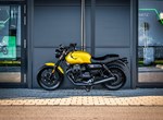 Angebot Moto Guzzi V7 Stone