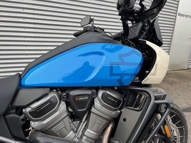 Harley-Davidson Pan America 1250 Special (Fastback Blue/White Sand) - Bild 2