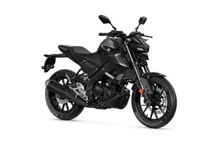 Angebot Yamaha MT-125