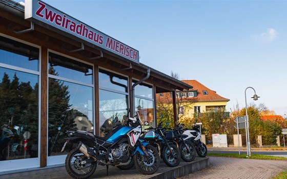 Gebrauchtmotorrad Benelli TRK 502 X - Bild 8