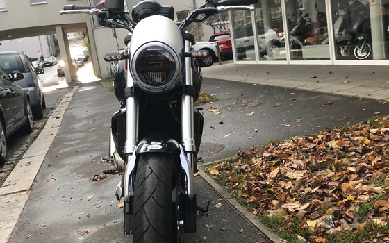 Neufahrzeug QJ Motor SRV 550 - Bild 2