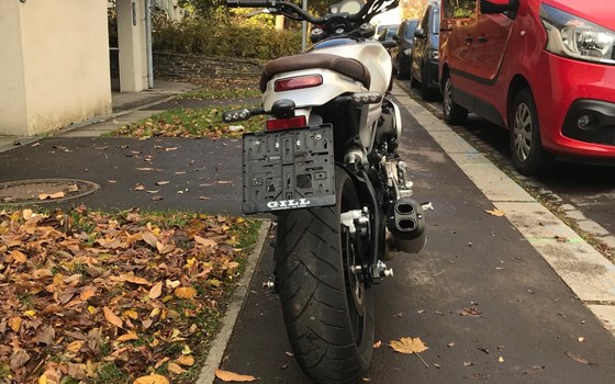 Neufahrzeug QJ Motor SRV 550 - Bild 3