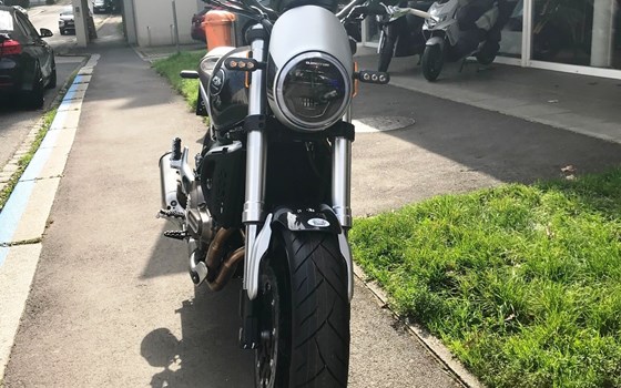 Neufahrzeug QJ Motor SRV 550 - Bild 7