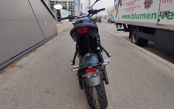 Neufahrzeug Triumph Trident 660 - Bild 5 Neufahrzeug Triumph Trident 660 - Bild 5
