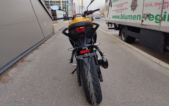 Neufahrzeug Triumph Tiger Sport 800 - Bild 5 Neufahrzeug Triumph Tiger Sport 800 - Bild 5