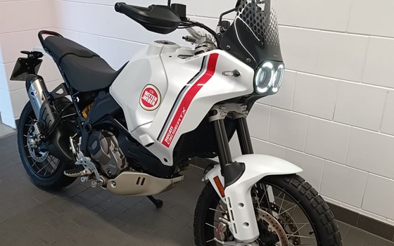 Gebrauchtmotorrad Ducati DesertX - Bild 2