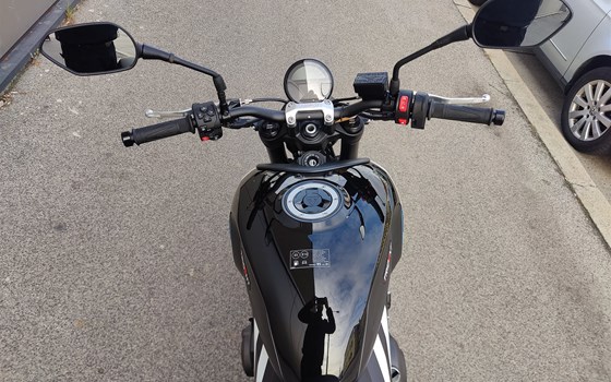 Neufahrzeug Triumph Trident 660 - Bild 6 Neufahrzeug Triumph Trident 660 - Bild 6