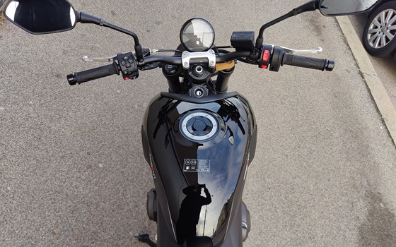 Neufahrzeug Triumph Trident 660 - Bild 6 Neufahrzeug Triumph Trident 660 - Bild 6