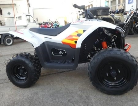 Neufahrzeug CFMOTO CForce 110 - Bild 2