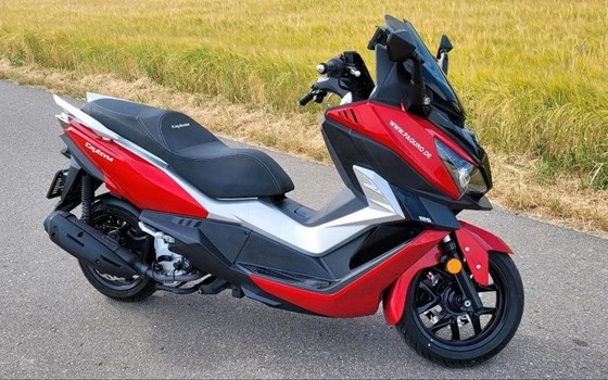 Gebrauchtmotorrad Sym Cruisym 125 - Bild 2 Gebrauchtmotorrad Sym Cruisym 125 - Bild 2
