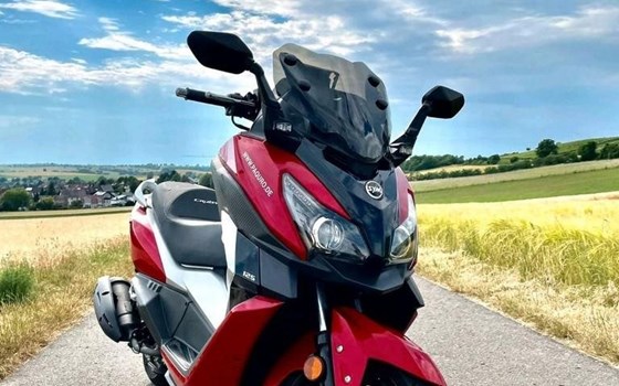 Gebrauchtmotorrad Sym Cruisym 125 - Bild 5 Gebrauchtmotorrad Sym Cruisym 125 - Bild 5