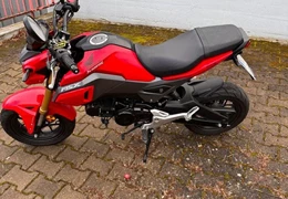 Gebrauchte Honda MSX 125 Gebrauchte Honda MSX 125