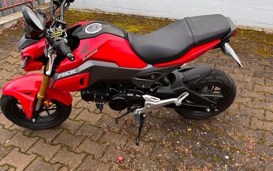 Gebrauchtmotorrad Honda MSX 125 - Bild 1 Gebrauchtmotorrad Honda MSX 125 - Bild 1