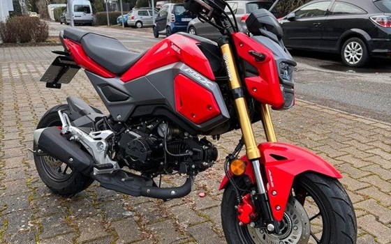 Gebrauchtmotorrad Honda MSX 125 - Bild 4 Gebrauchtmotorrad Honda MSX 125 - Bild 4