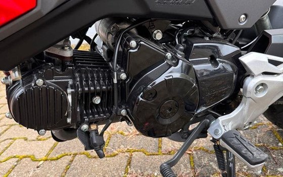 Gebrauchtmotorrad Honda MSX 125 - Bild 5 Gebrauchtmotorrad Honda MSX 125 - Bild 5