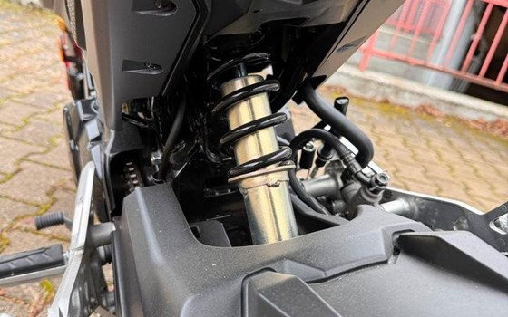 Gebrauchtmotorrad Honda MSX 125 - Bild 6 Gebrauchtmotorrad Honda MSX 125 - Bild 6