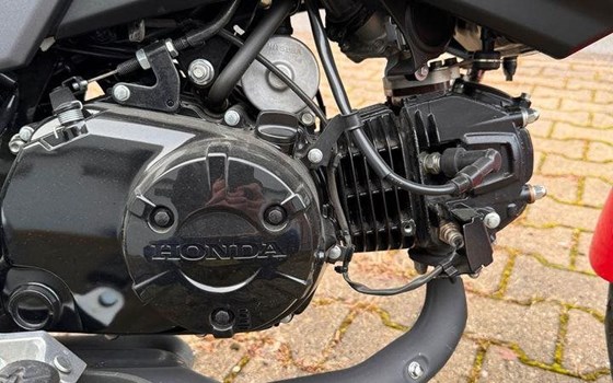 Gebrauchtmotorrad Honda MSX 125 - Bild 8 Gebrauchtmotorrad Honda MSX 125 - Bild 8