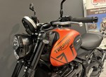 Angebot Triumph Trident 660