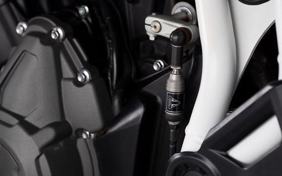 Neufahrzeug Triumph Tiger 900 Rally Pro - Bild 8