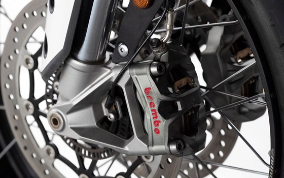 Neufahrzeug Triumph Tiger 900 Rally Pro - Bild 4