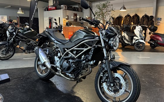 Neufahrzeug Suzuki SV650 - Bild 1