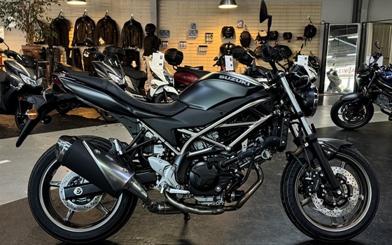Neufahrzeug Suzuki SV650 - Bild 2