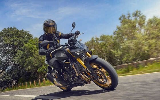 Neufahrzeug Honda CB1000 Hornet - Bild 4