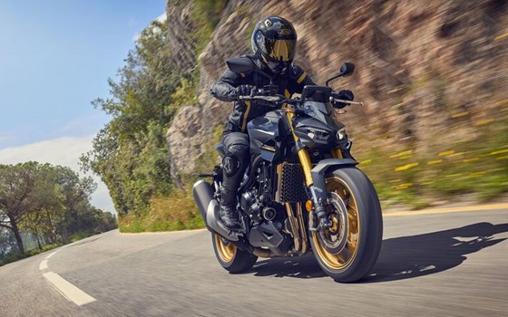 Neufahrzeug Honda CB1000 Hornet - Bild 6