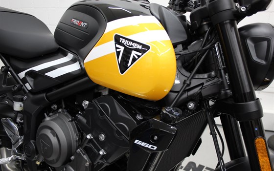 Neufahrzeug Triumph Trident 660 - Bild 6