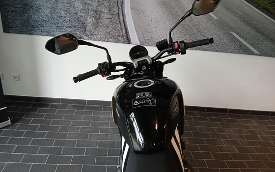 Neufahrzeug Triumph Trident 660 - Bild 8