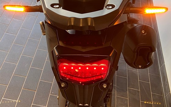 Neufahrzeug Triumph Tiger 900 Rally Pro - Bild 10