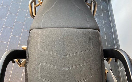 Neufahrzeug Triumph Tiger 900 Rally Pro - Bild 11