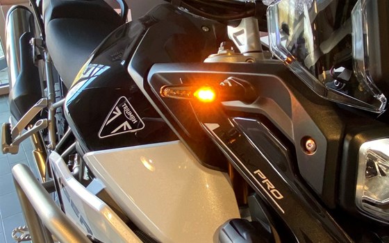 Neufahrzeug Triumph Tiger 900 Rally Pro - Bild 6