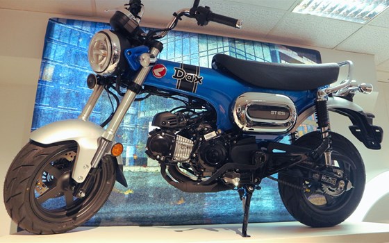 Neufahrzeug Honda Dax 125 - Bild 1